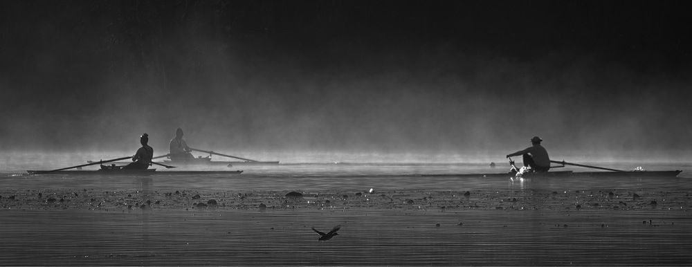 Rowing practice in Burnaby Lake at sunrise