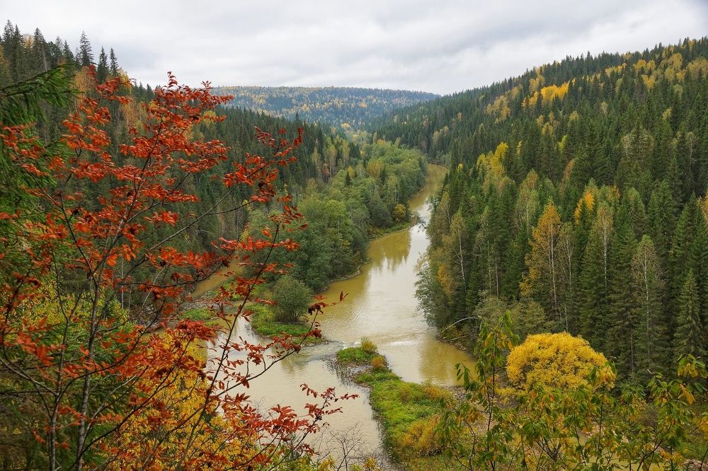 Вижайские скалы
