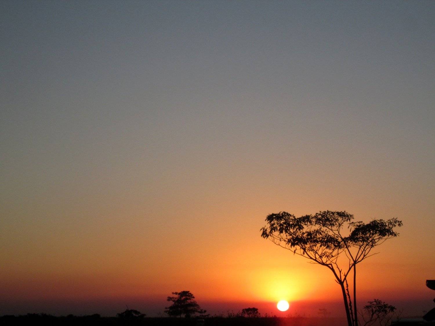 sunset