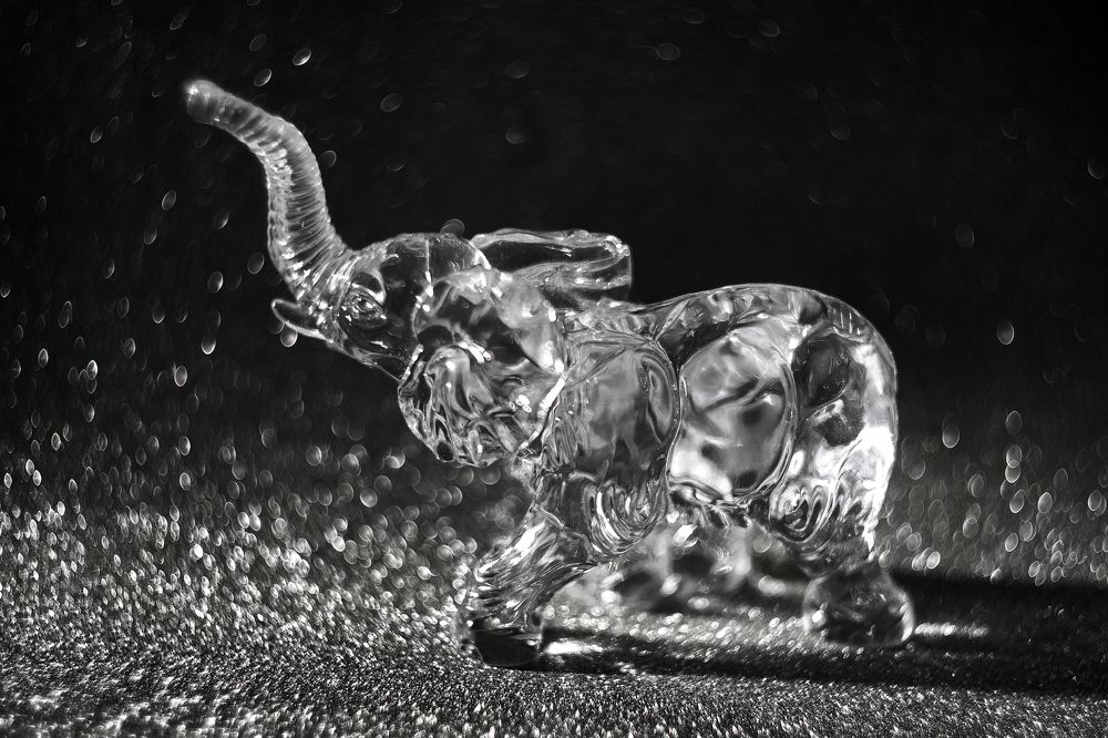 Оптическое Купание Слона