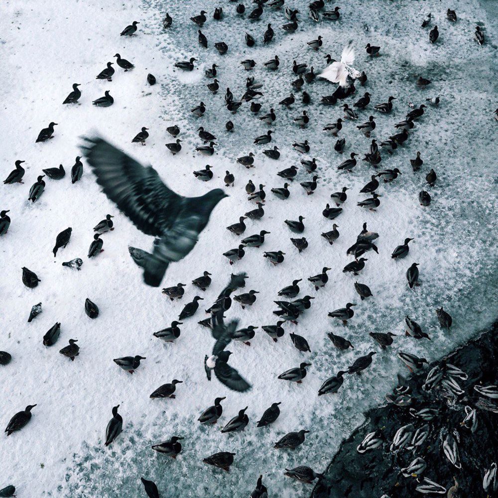 Photograph by Кан Александр