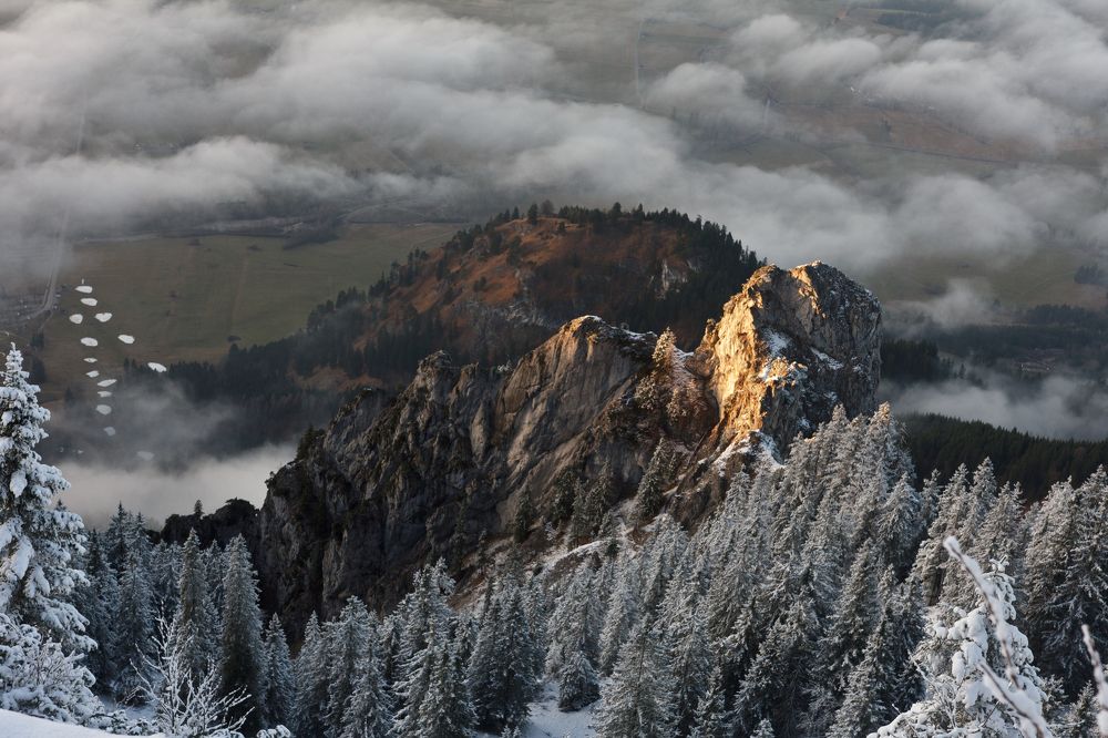 Чьи-то снежные следы