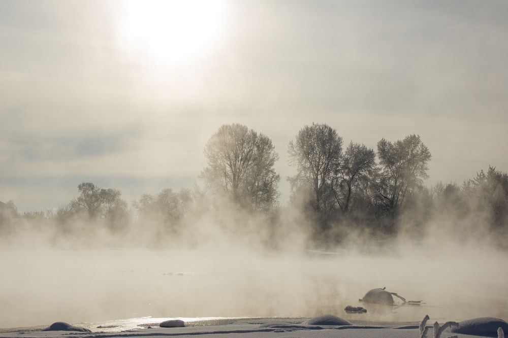 Фотография автора Ольга Гордеева
