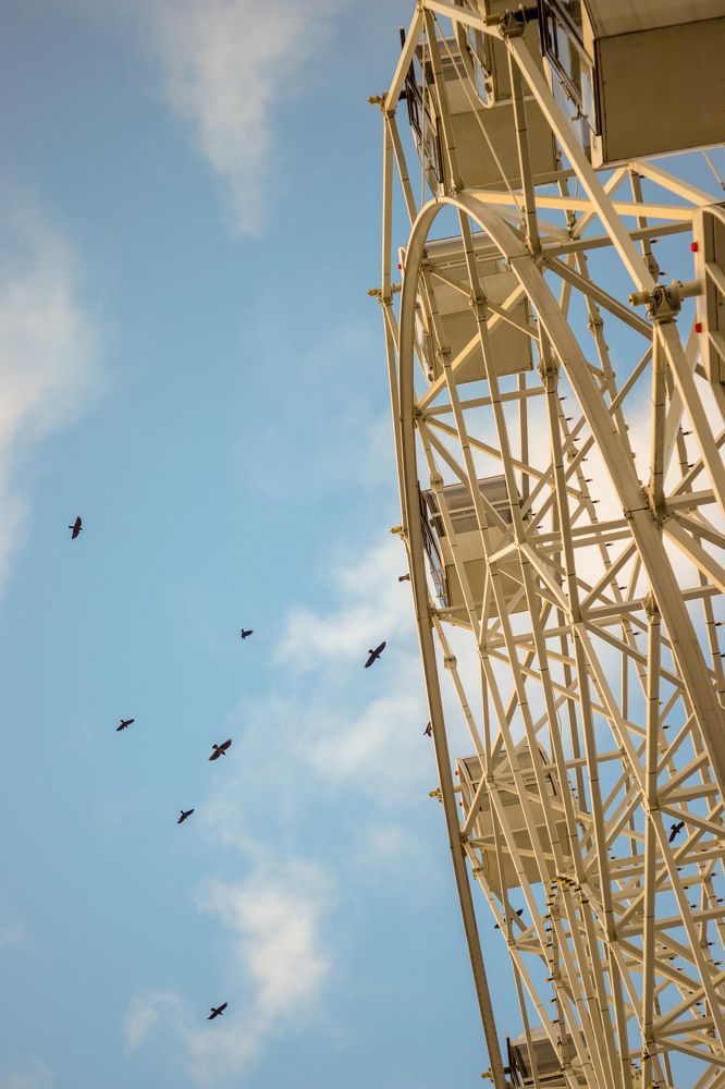 Photograph by Алёна Кутнякова