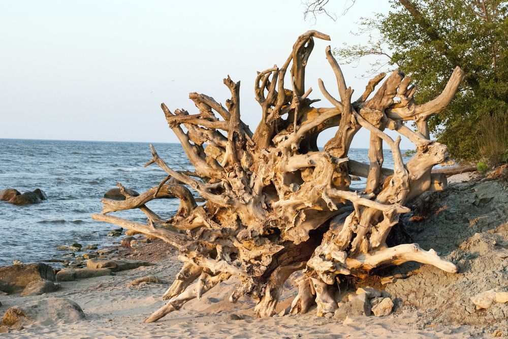 Рижское взморье