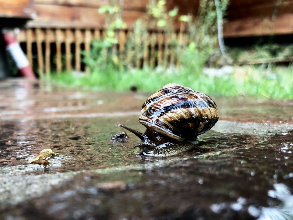 Photograph by Виталий Андросов