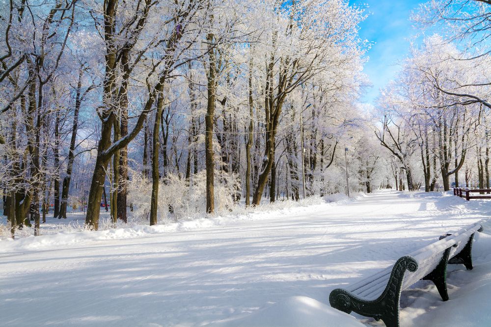 По зимним тропам