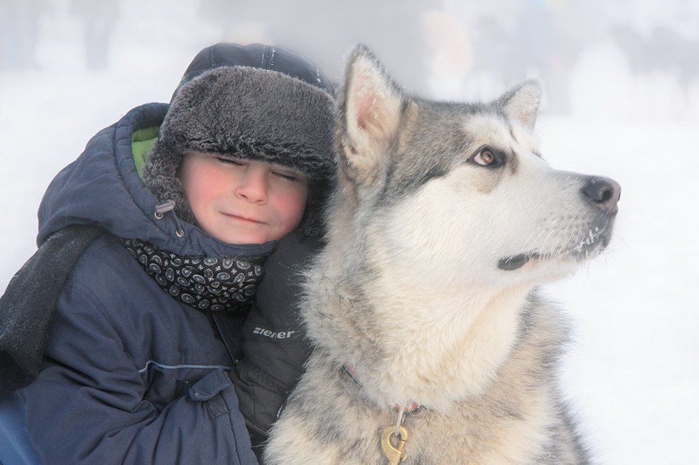 Новогодние мечты