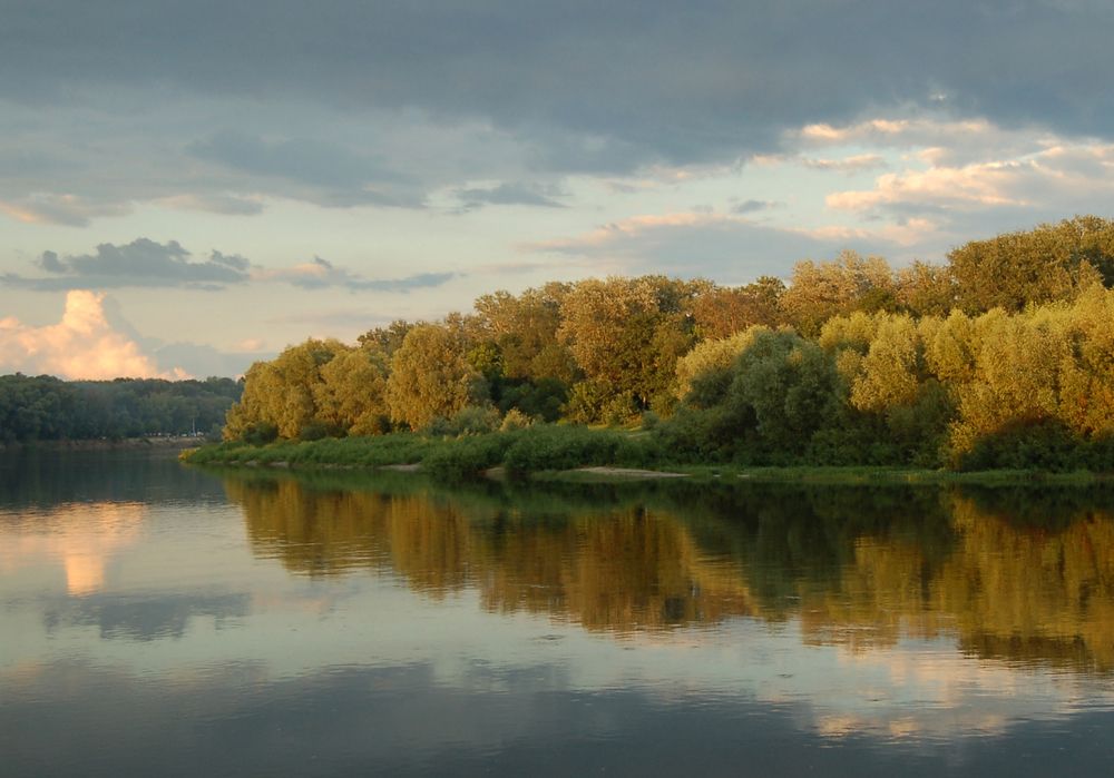 Очарованная Десна