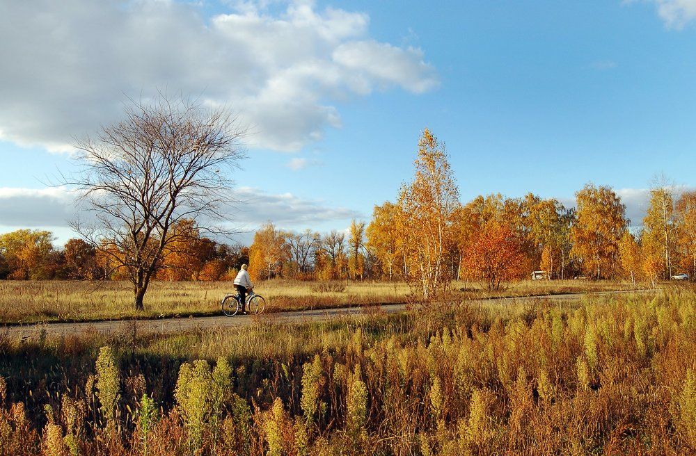 В золотой осени