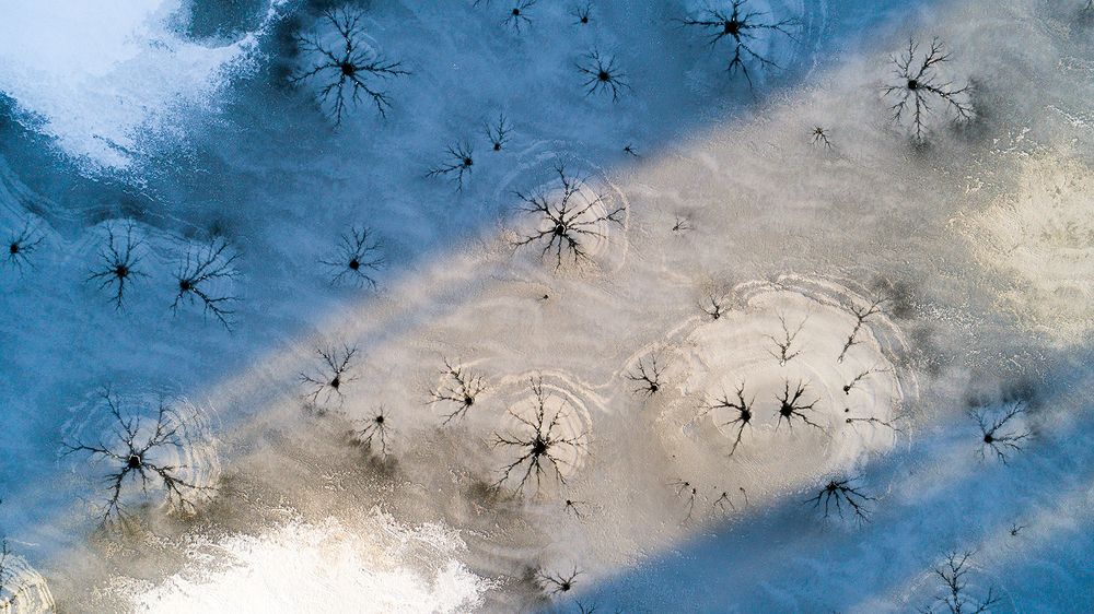 Ледяные звезды.