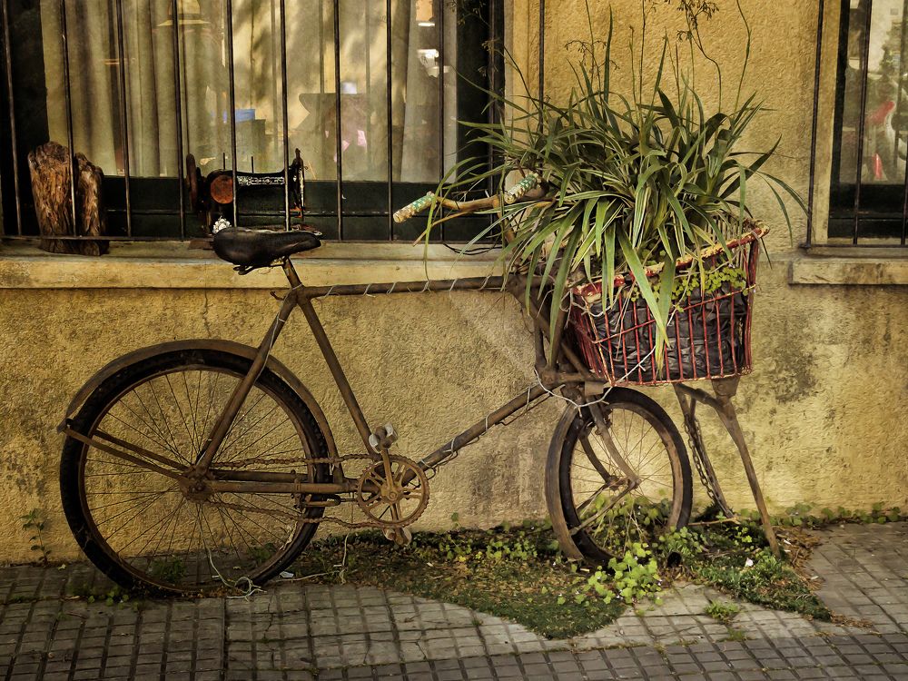 Gardening and Recycling