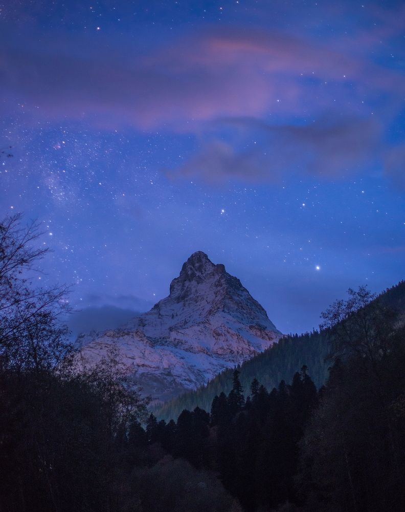 СПЯЩАЯ КРАСАВИЦА БЕЛАЛАКАЯ