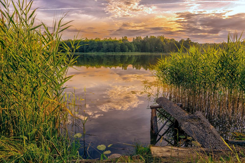 Photograph by Vitalijs