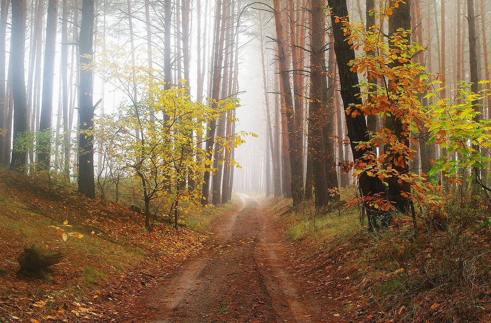 Photograph by Евгений Кулик