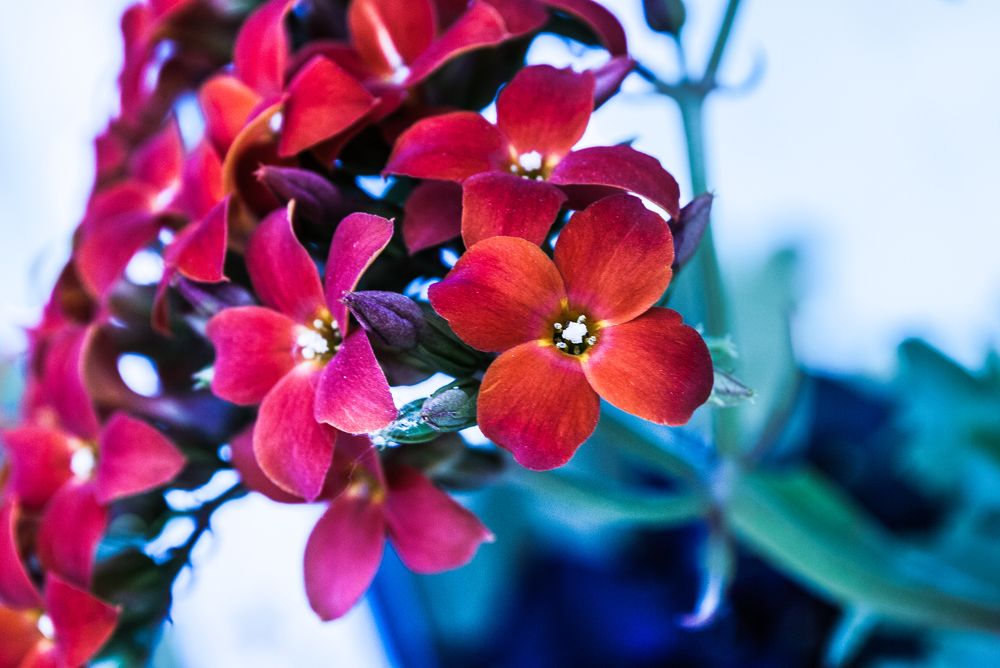 Photograph by Mariq Georgieva