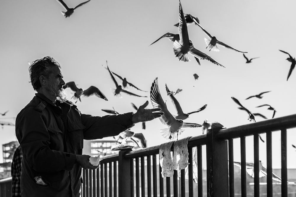 Photograph by Navid Matrian pour