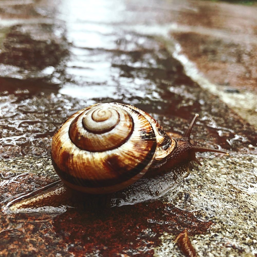 Photograph by Виталий Андросов