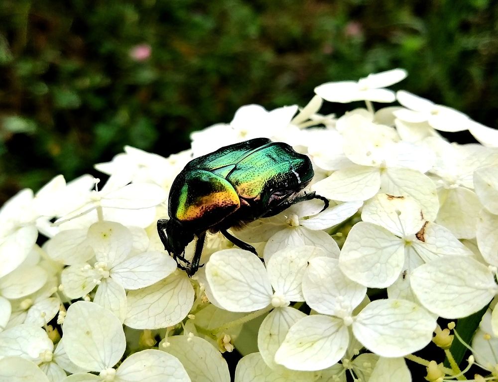 Photograph by Анна Панкратова