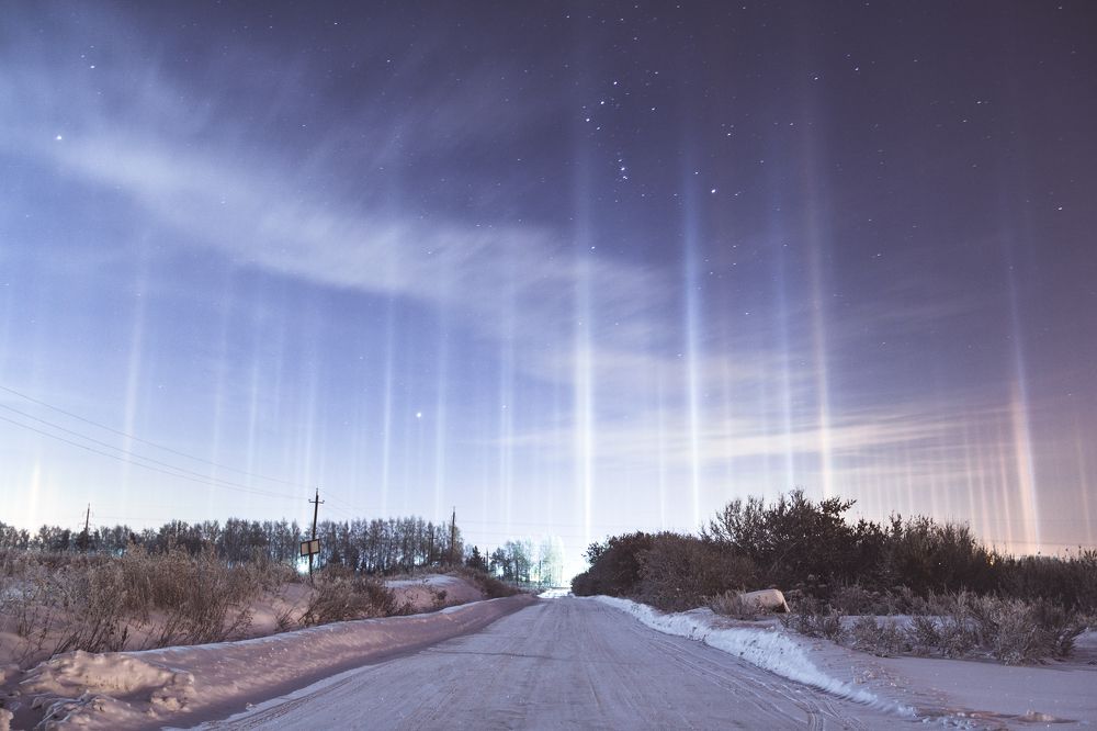 Световой лес