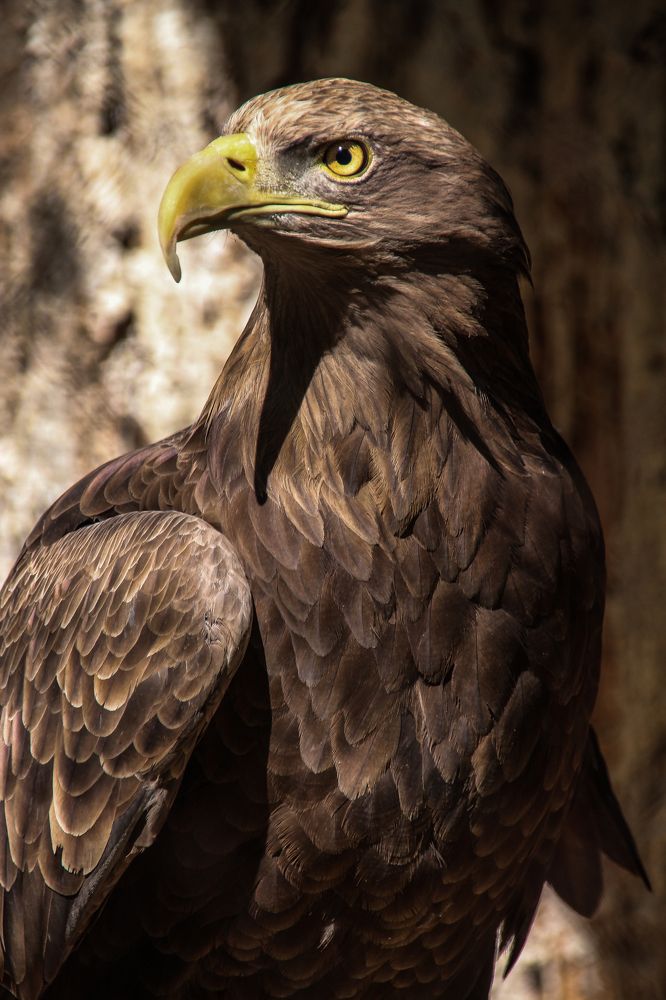 Photograph by Дмитрий Медянников