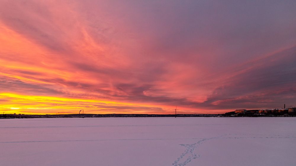 Фотография автора Леонид Никитин