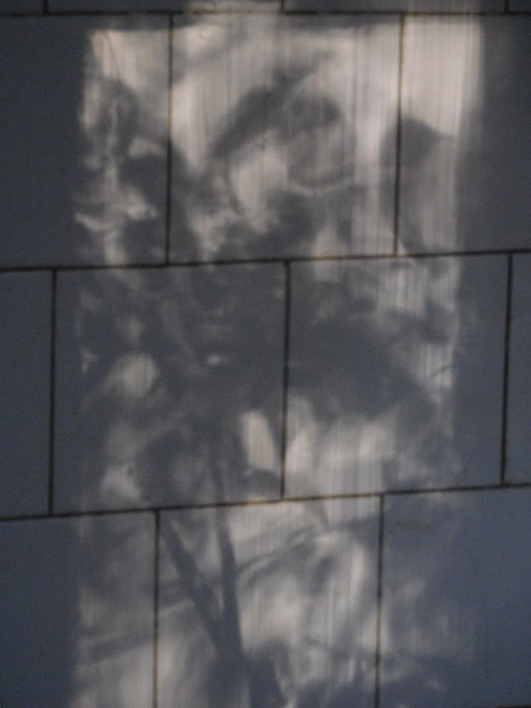 свет от окна