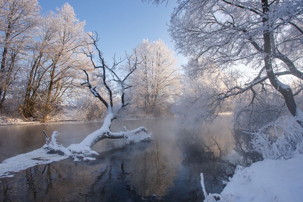 Утро в веснянке