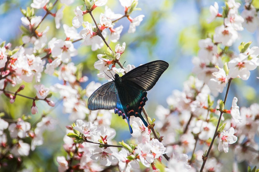 Photograph by Дмитрий Медянников