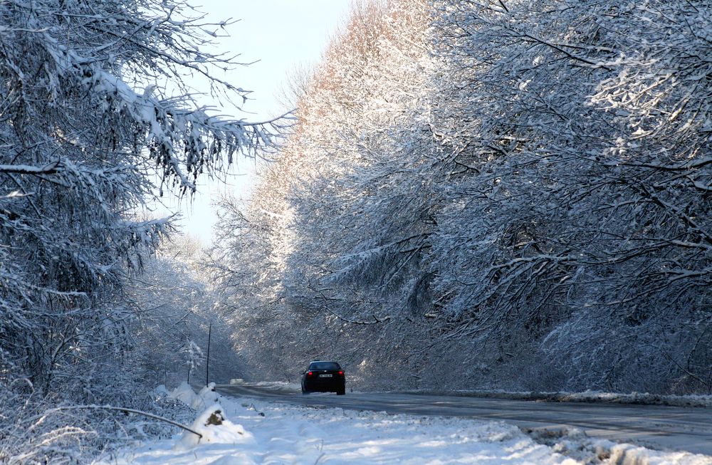 On the way in the winter