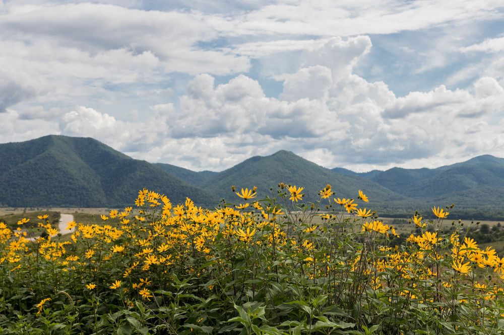 Photograph by Дмитрий