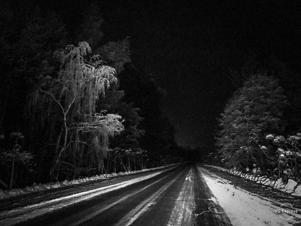 В свете фар