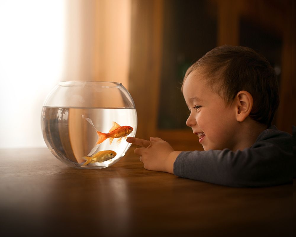 everybody is a Genious