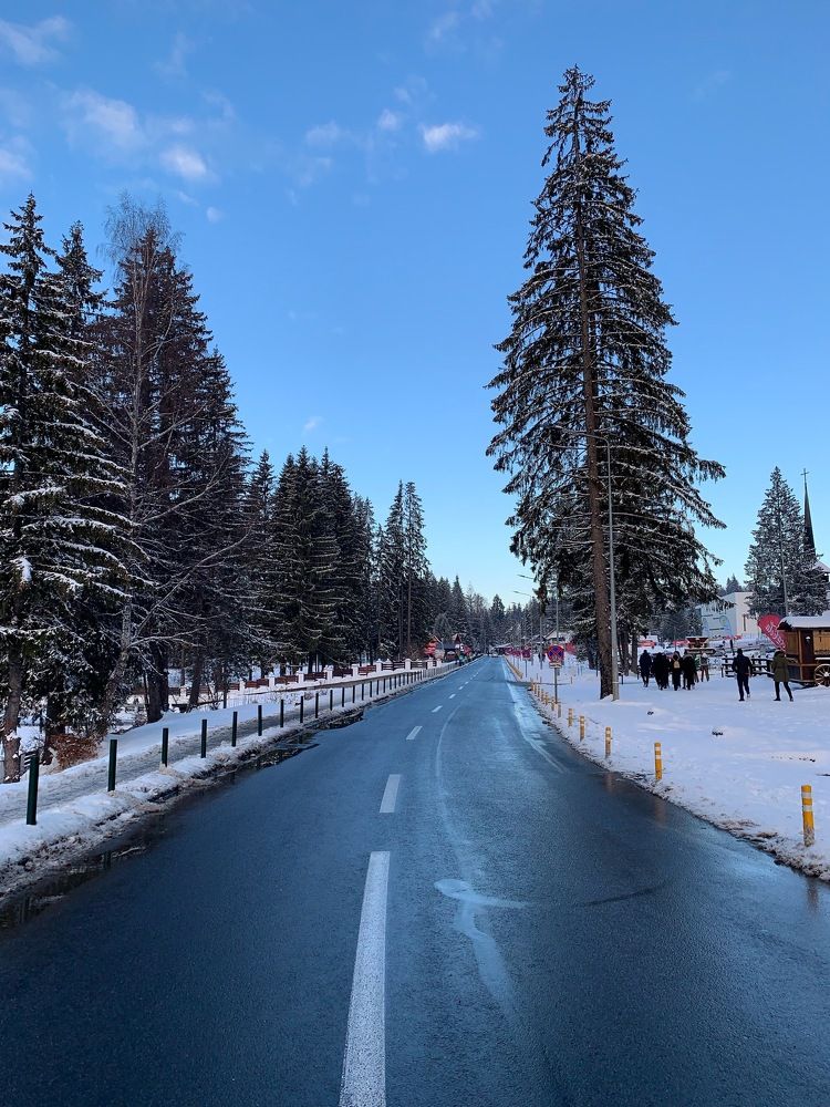 Photograph by Angelescu Andreea Mihaela