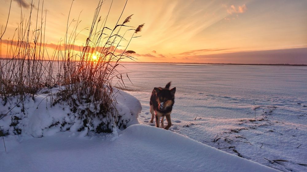 Зимний закат