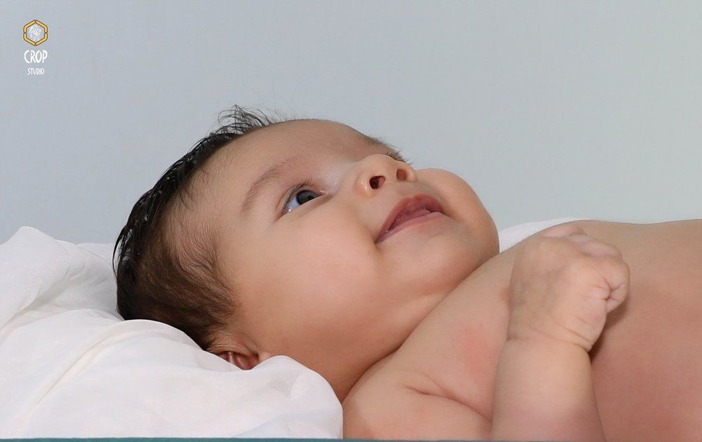 Photograph by Farinaz Bagherpour