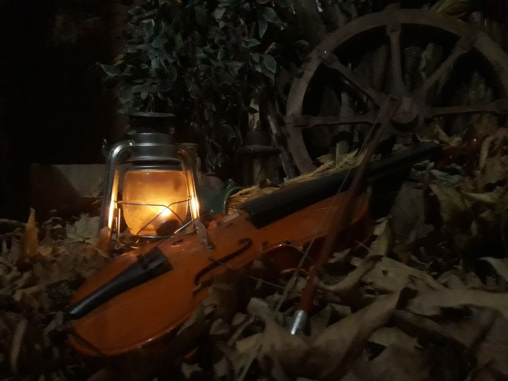 Photograph by omid zarei