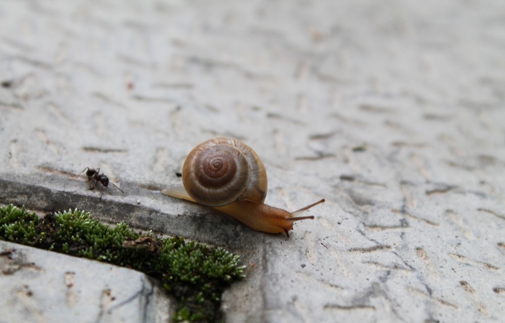 The whole world at our feet