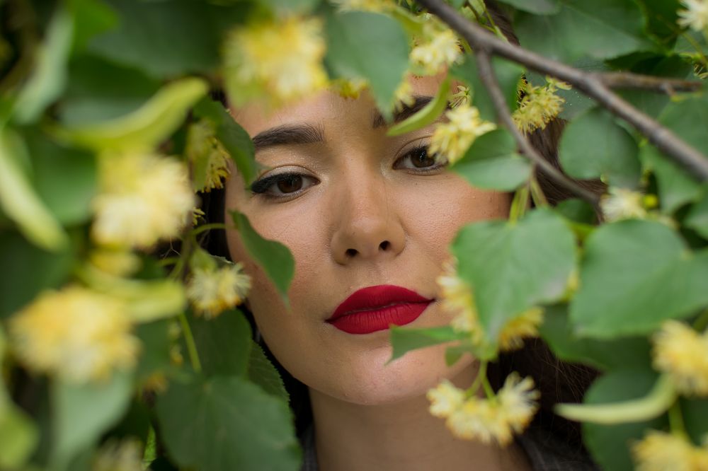 Липовый цвет