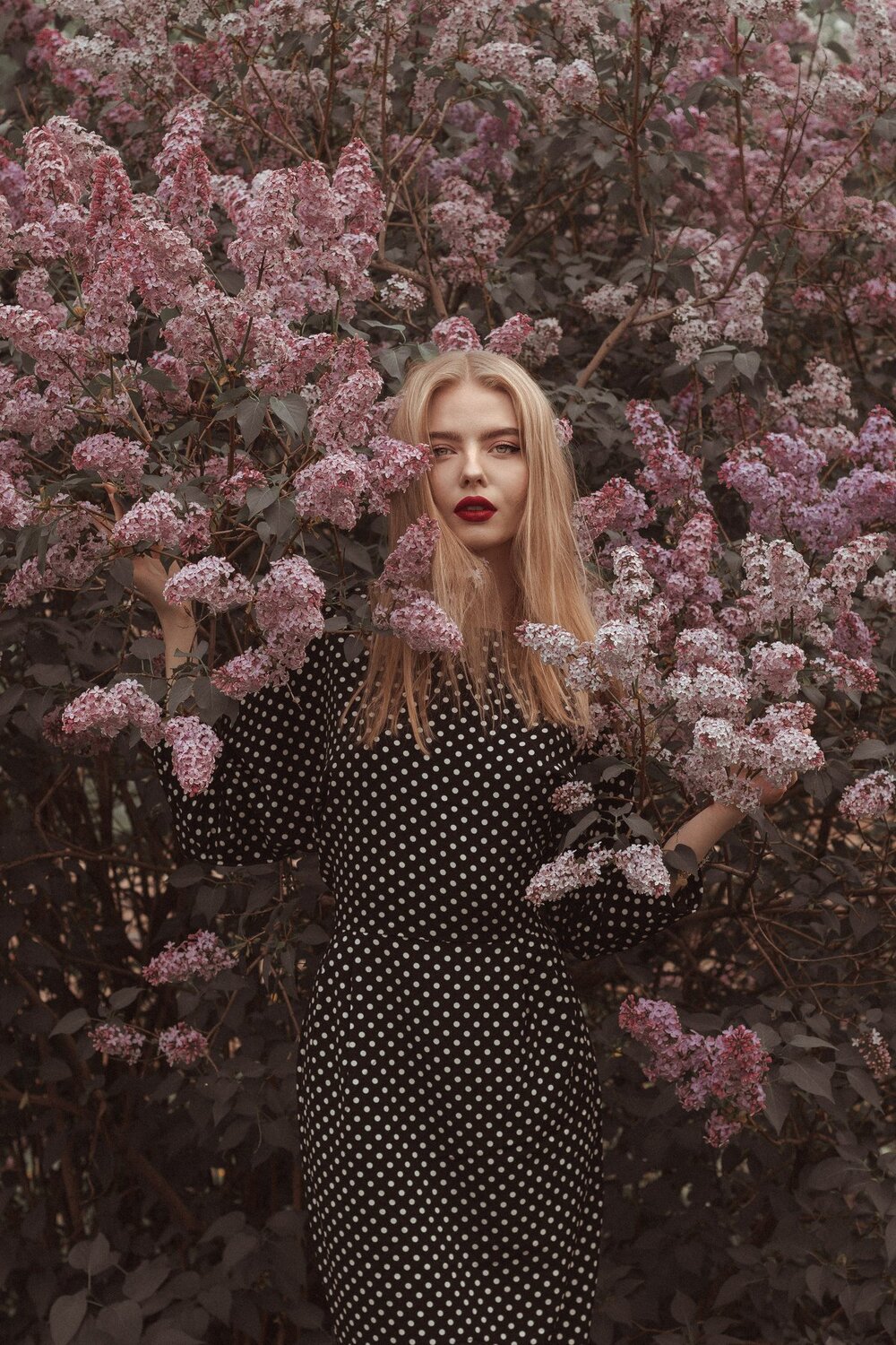 Lilac