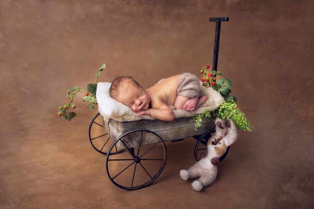 урожайный год