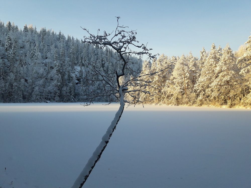 Грани