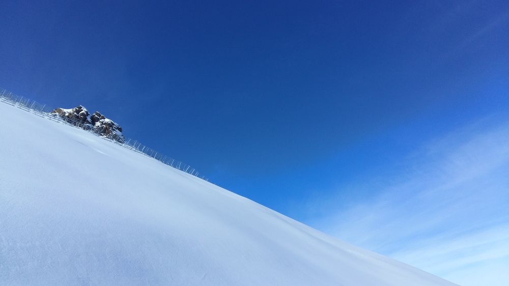 Буйство красок