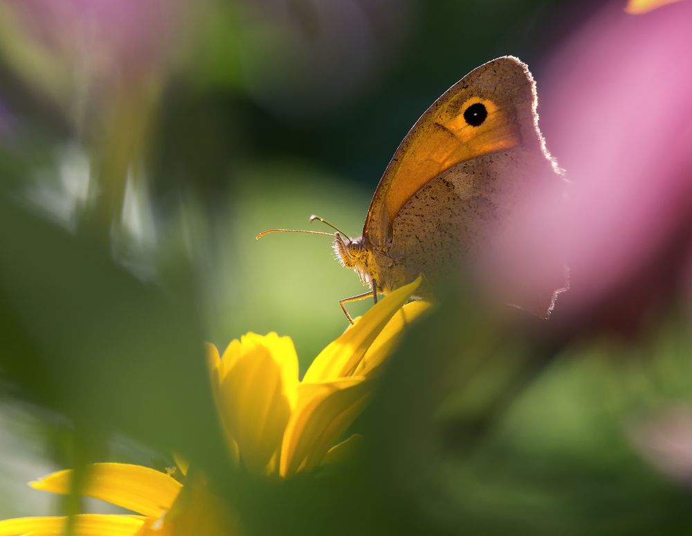 Photograph by Юрий Лисовой