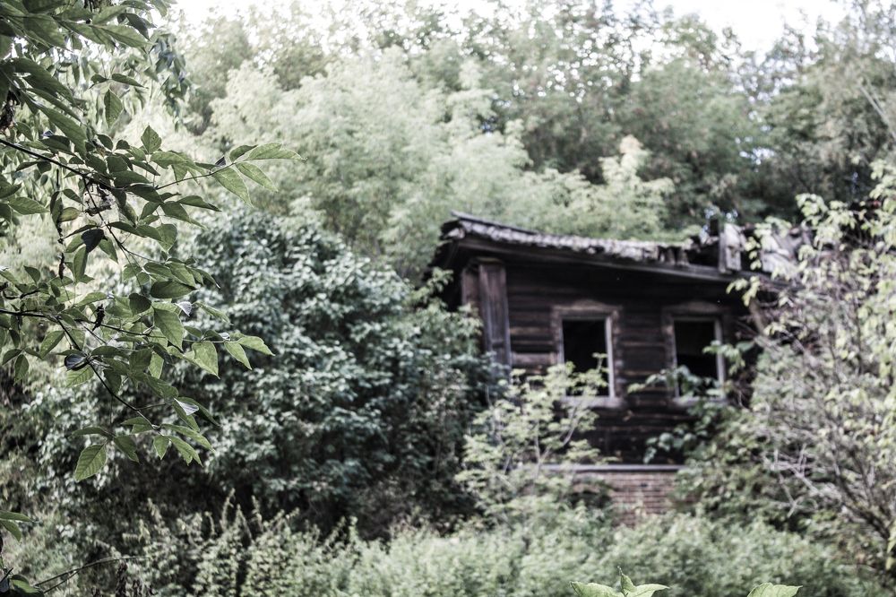 Паутина времени