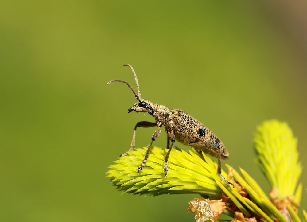 Photograph by Елена Красавина