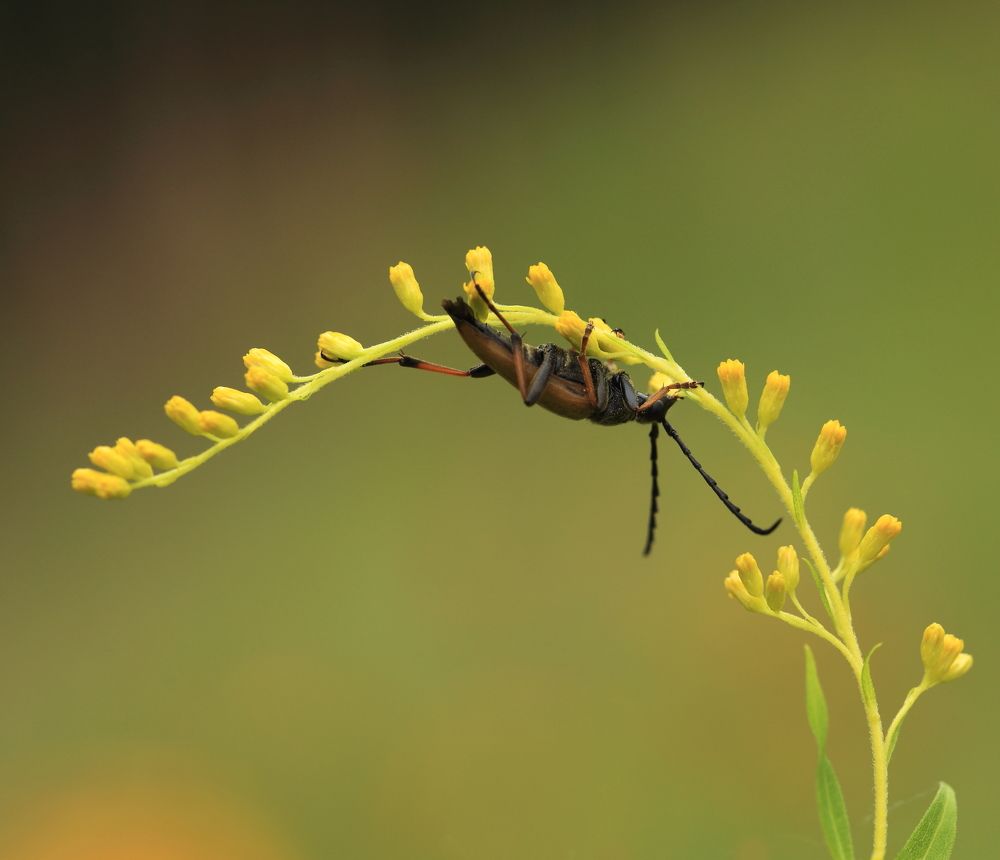 Photograph by Елена Красавина
