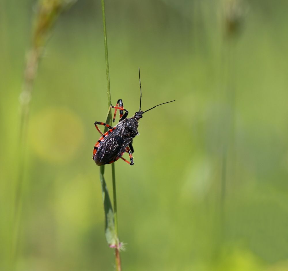 Что день грядущий нам готовит?