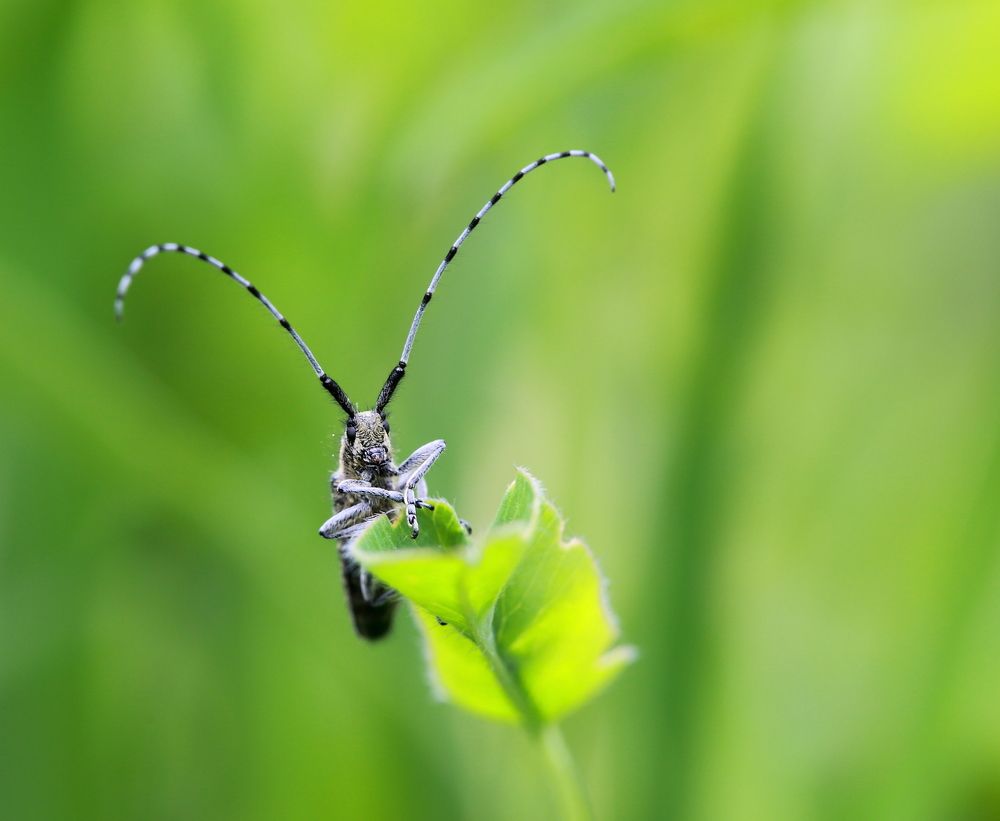 А теперь послушаем прогноз погоды.