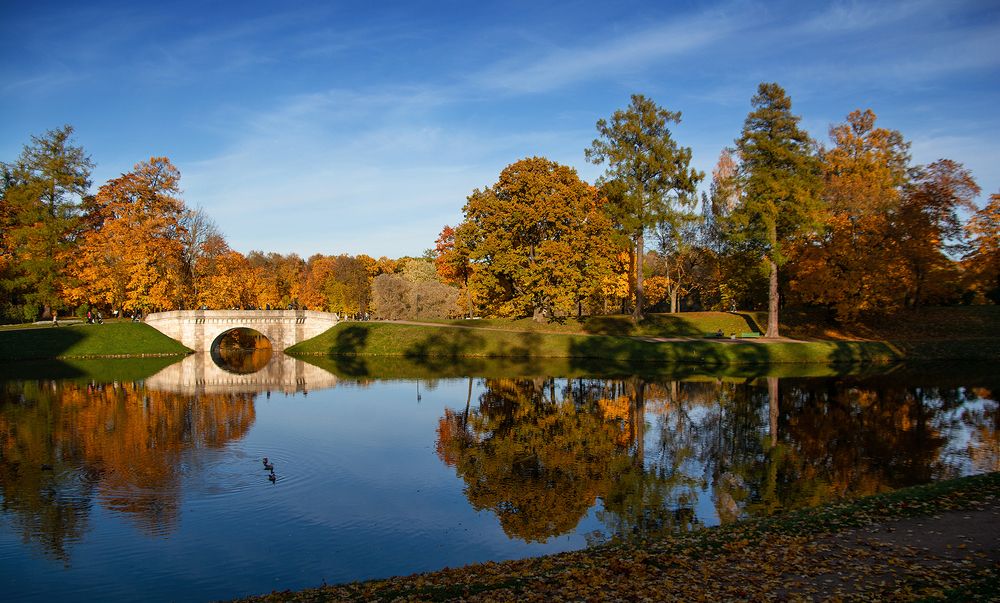 Зазеркалье